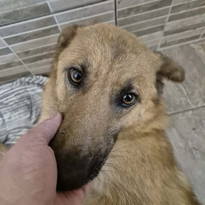 664817208 889759980754692 3684195309045178014 n