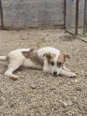 664831768 940575062023159 8645487880553579492 n