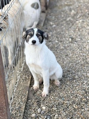 664883925 1005196726020813 8270858600381784176 n