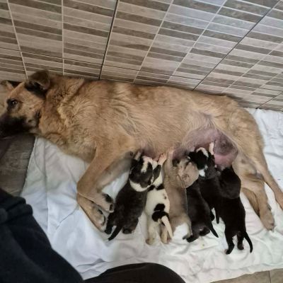 664921084 827760299763844 7729391357609930327 n