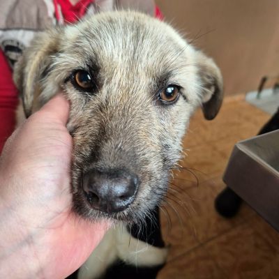 664958735 955994420287917 790843044286180402 n