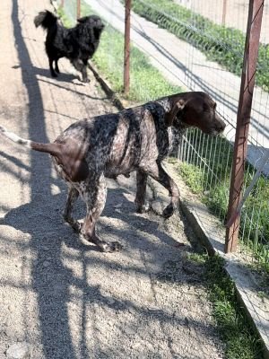 665050085 4134685500008222 1232818471956027617 n