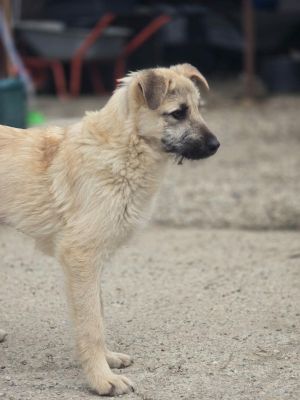 665090897 1440436271097844 2522856442441574019 n