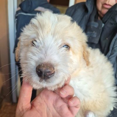 665101812 1632875701092443 6310953828307805472 n