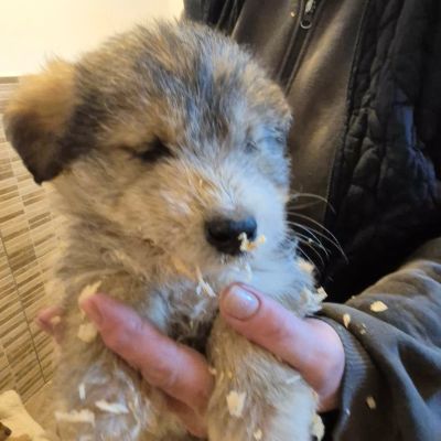 665101812 1665487344485528 7562427295451329 n