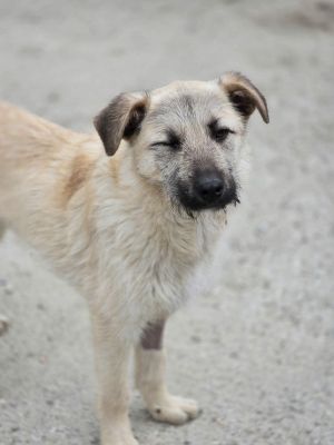 665260126 1295520542641770 8856617383084425261 n