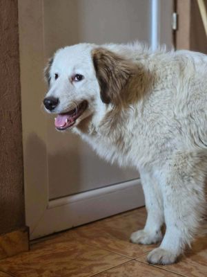 665946342 946042318155953 3039961666567885861 n