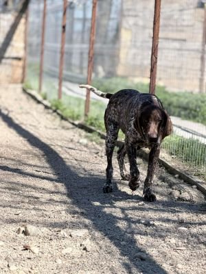 666168593 2082049449194577 5330799668071841636 n