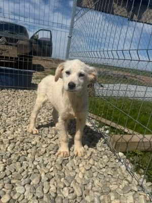 666367428 26506544818986094 6606827306939122368 n