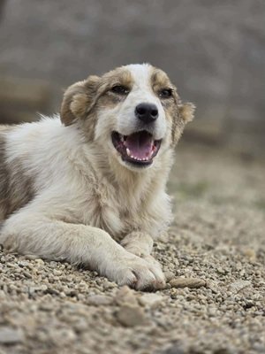 666600861 1929061997730377 5289409515792352568 n