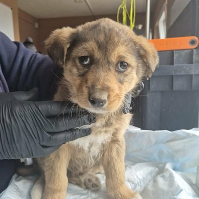 666600861 979439784770098 5428957306165222344 n