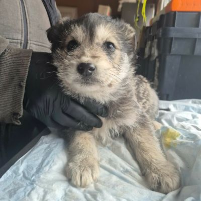 666610023 1466971948417483 8602379040877852231 n