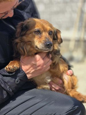 666614490 1738959507526207 3744347691536976370 n