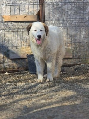 666758576 1493209312513095 7318993832400740338 n