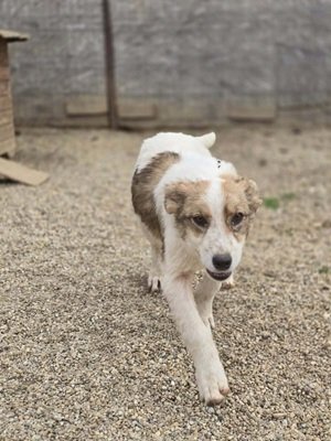 666847974 901600762928627 8106683920405473098 n