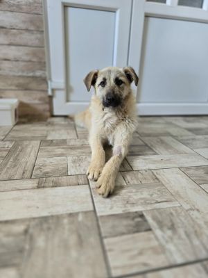 667021037 836122648836717 7920177319714266813 n