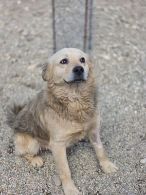 667055796 26529074293399813 5841729917336832178 n