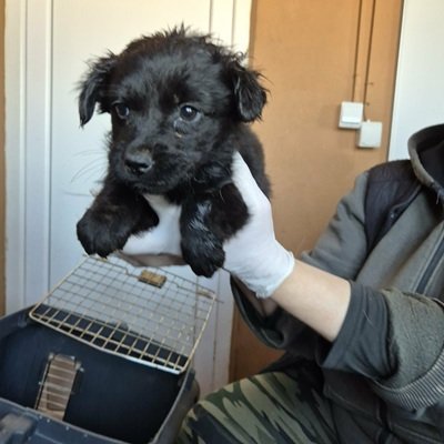 667390758 4597479797147611 138923296250702338 n