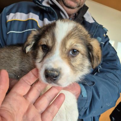 667777230 1489895512532603 5954608542219408000 n