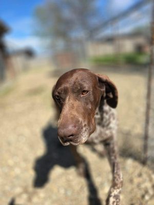 667790303 1052596451271729 7070359113095616962 n