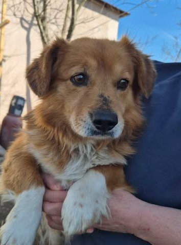 667857893 26528835160090393 8968783508642732580 n