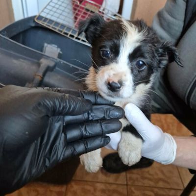 667911479 1838914613469300 6931839269328062327 n