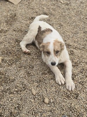 667947986 915577847972190 1633349295060061286 n