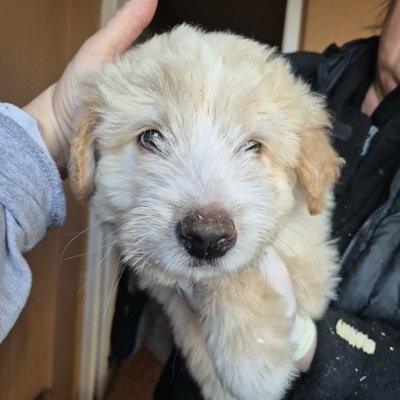 668118113 970795562528999 4848665761676953072 n