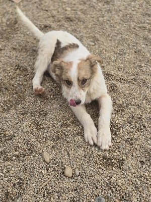 668134861 1278913566982117 4119554311738332804 n