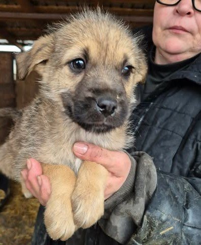 668241741 26528663126774263 1646369562533758689 n