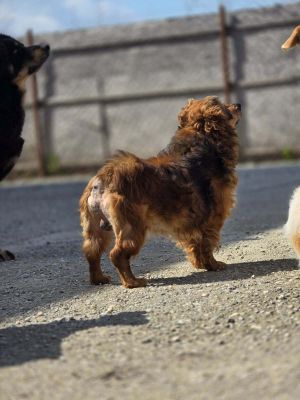 668276411 1319126803406359 908143996138431592 n