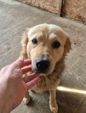 668507109 26529073523399890 8863013230192290301 n