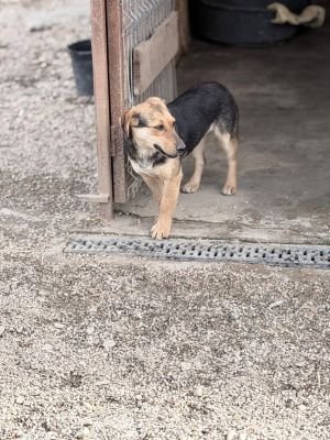 668604107 34724239080556083 8303672311818232228 n