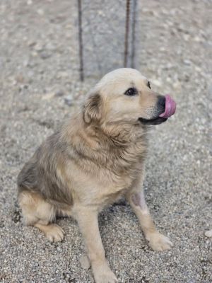 668625778 26529073803399862 6841476140616754177 n