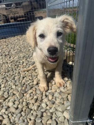 668666117 26506545042319405 4737048865312349182 n