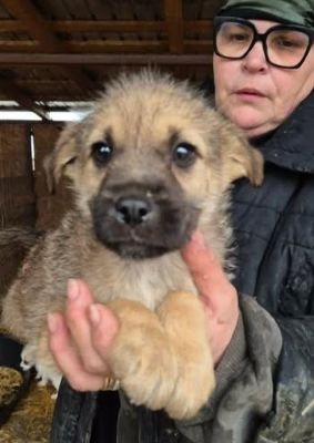 669014959 26528663170107592 5196074497440780555 n