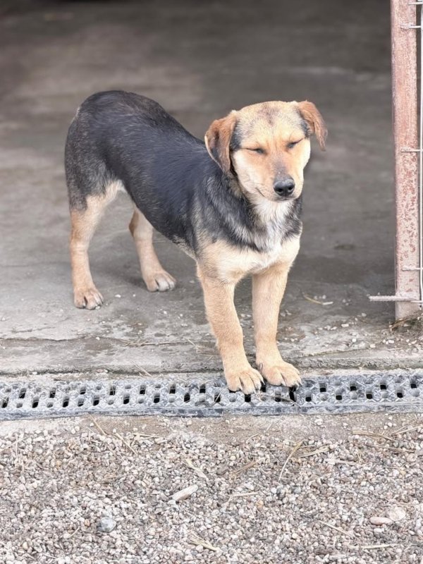 669061404 34724239537222704 9129606764018974985 n