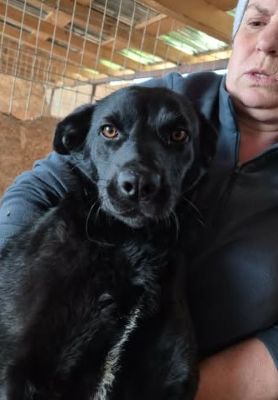 669079037 26528985566742019 3294821844130087264 n