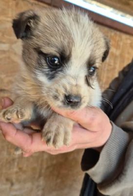 669134734 26528762656764310 8140061188944222023 n