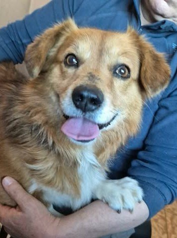 669140951 26528834320090477 6711743771021970547 n