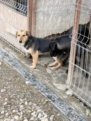 669359031 34724239890556002 3953934989426979 n