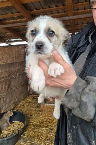 669539854 26528761836764392 6983605263367695724 n