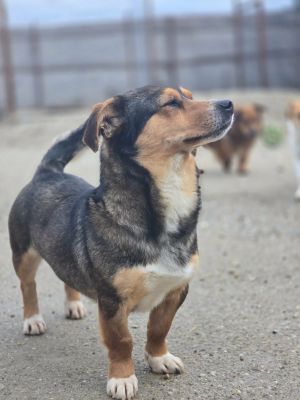 669589207 1477875684122273 7254239031788940660 n