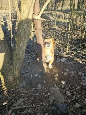 669680768 26528835640090345 4369226767636367595 n