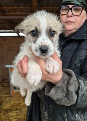 669707613 26528761816764394 6045648219971128031 n