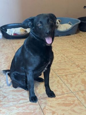 669893232 26528985676742008 8022179002526151596 n