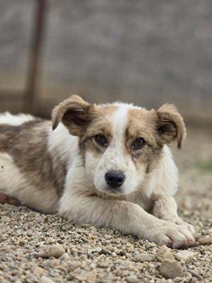 670281239 26408479608811887 3072085763914365416 n