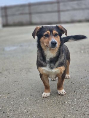 670294926 1833065070697608 4362203286879299979 n(1)