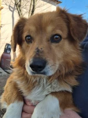 670356281 26528834480090461 1162925188554099172 n