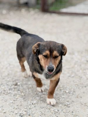 671108730 2227017934498259 4158918975793378071 n